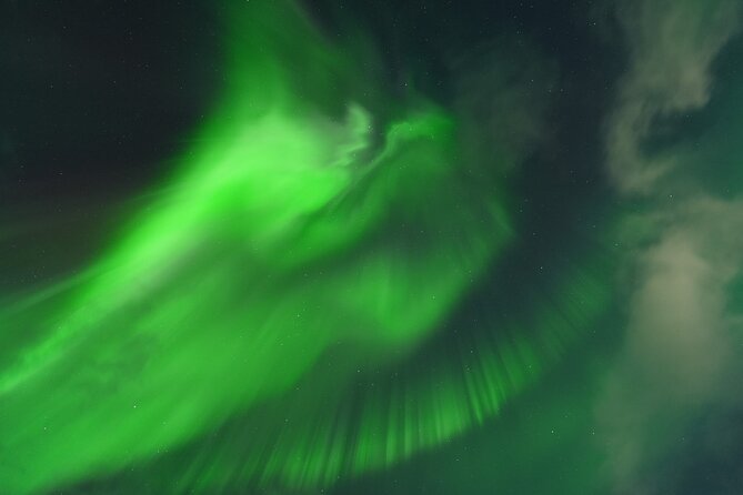 Tromsø: English/Spanish Aurora Pathfinder Tour with Photos - Key things to know before you go