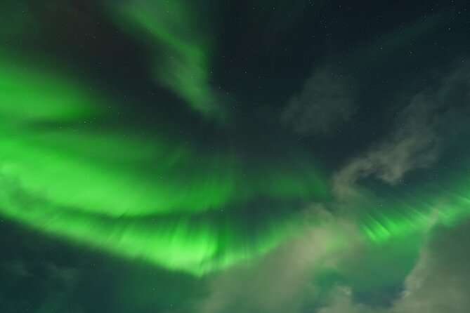 Tromsø: English/Spanish Aurora Pathfinder Tour with Photos - Mini-bus Comfort, Meeting Point, and the No-Bathroom Reality