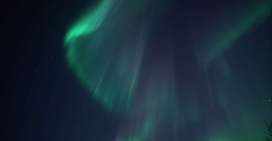Tromsø: Evening Aurora Cruise (dinner optional) - Key points before you go
