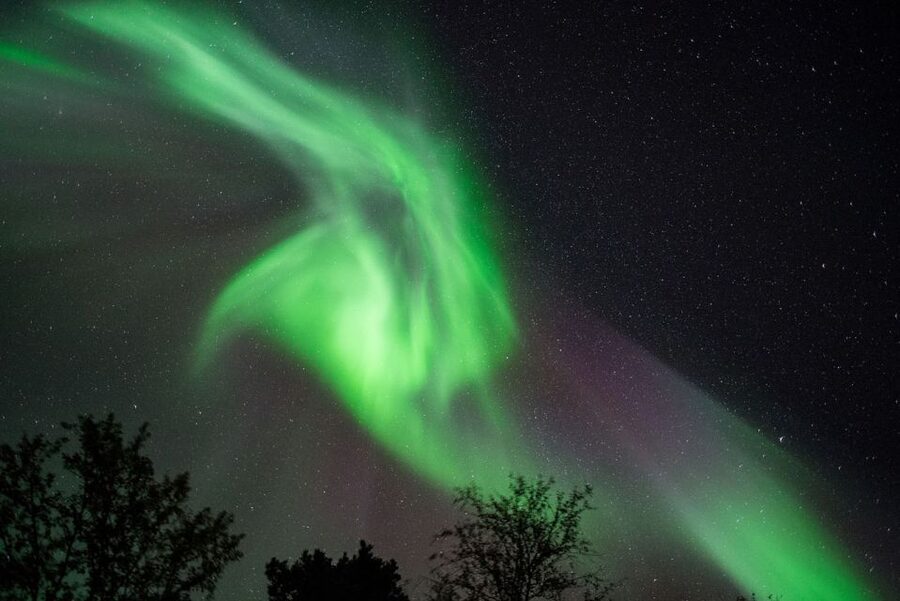 Tromsø: Evening Aurora Cruise (dinner optional) - Tromsø at 8 p.m.: the cruise start that puts you in position