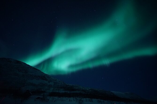 Tromsø: Evening Cruise with Northern Lights Opportunity - Key Highlights You’ll Care About