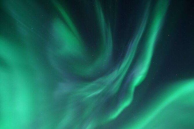 Tromsø: Evening Cruise with Northern Lights Opportunity - Included Comfort: Thermal Suits, Warm Drinks, and a Restroom