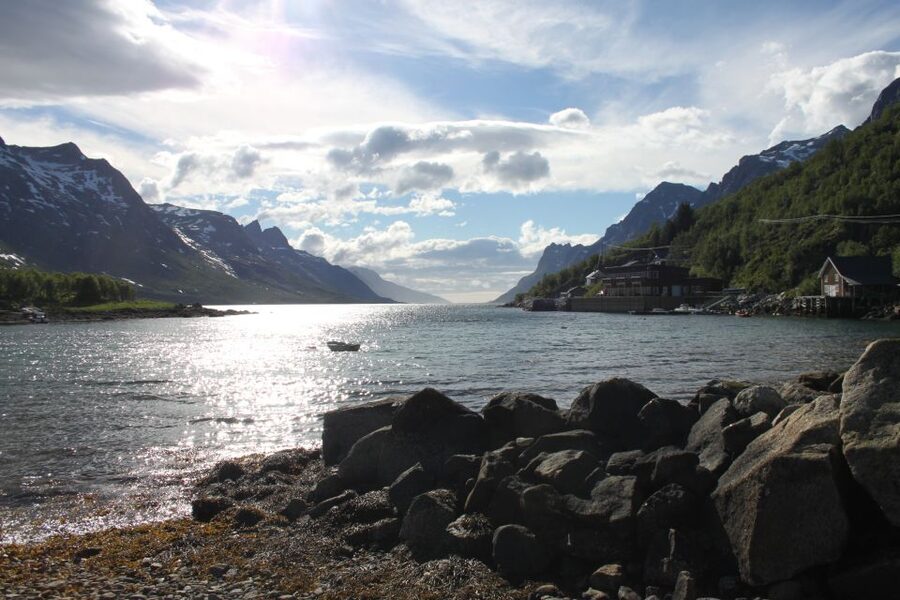 Tromsø: Exclusive Fjord Adventure by Bus - Wildlife odds: when you’ll spot something and when you won’t