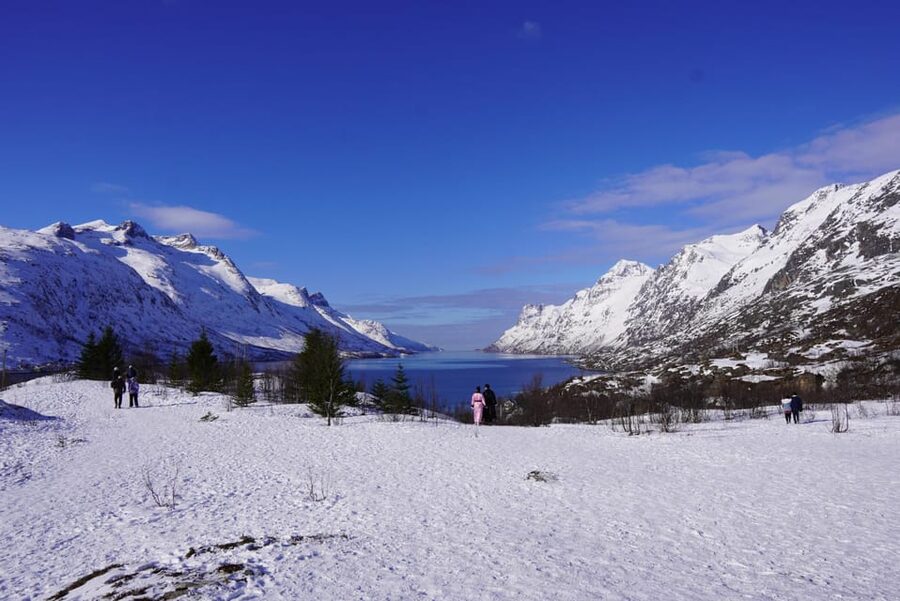 Tromsø: Exclusive Fjord Adventure by Bus - Why this Tromsø fjord bus trip makes sense
