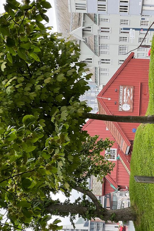 TROMSØ: Explore The City And a Guided Tour Of PolarMuseum! - Our Lady of Tromsø and the port-to-Skansen transition
