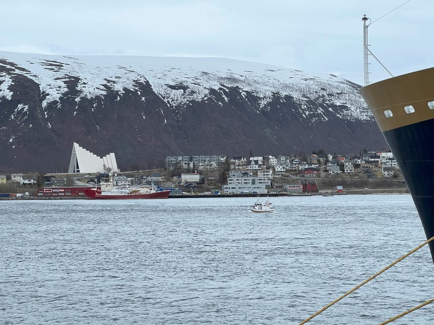 TROMSØ: Explore The City And a Guided Tour Of PolarMuseum! - Price and value: Is $56 fair for this much context?