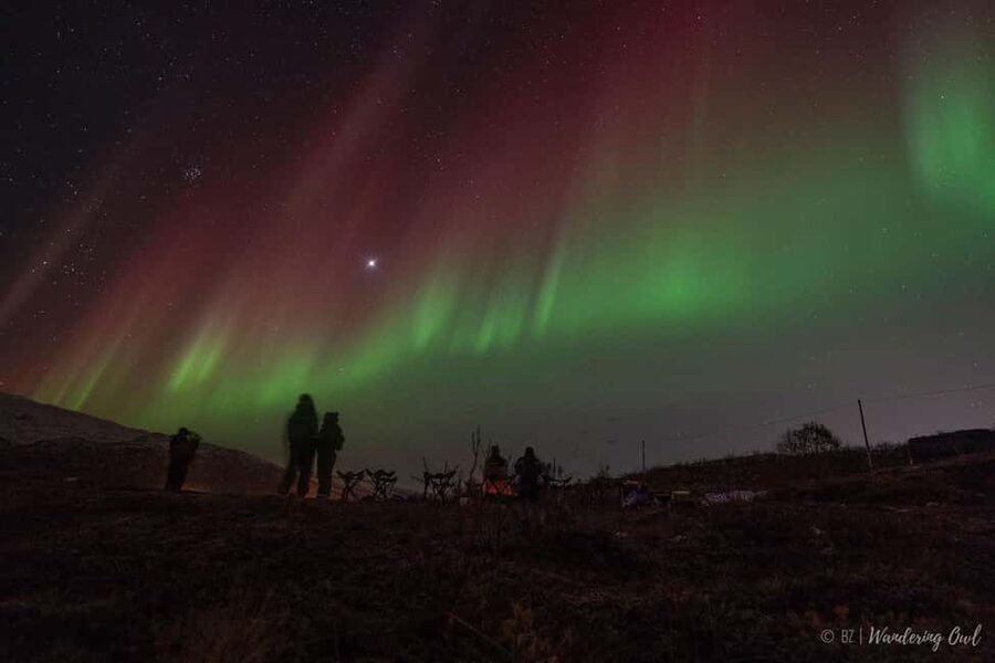 Tromsø: Express Aurora Hunt - Key highlights to know before you go
