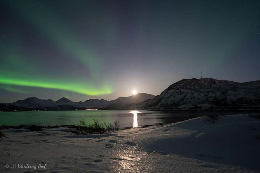 Tromsø: Express Aurora Hunt - The 4-hour “hunt” portion: what happens once you leave town