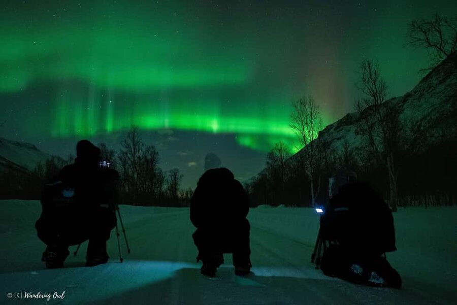 Tromsø: Express Aurora Hunt - Price and value: is $196 worth a short aurora window?
