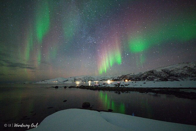 Tromsø: Express Aurora Hunt with Wandering Owl - Key things to know before you go