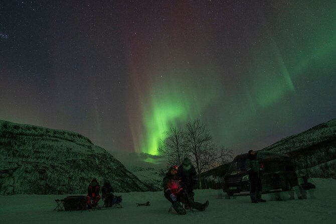 Tromsø: Express Aurora Hunt with Wandering Owl - A short Northern Lights sprint in Tromsø