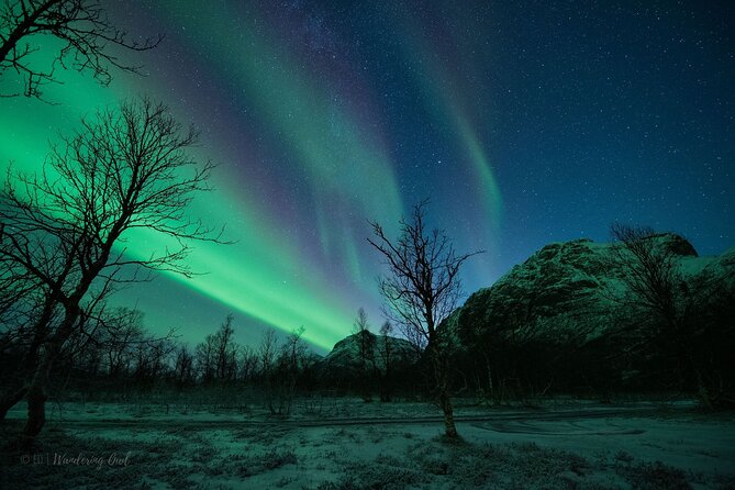 Tromsø: Express Aurora Hunt with Wandering Owl - The guides’ role: stories, science, and on-the-fly decisions