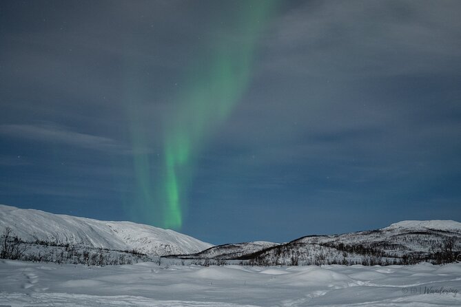 Tromsø: Express Aurora Hunt with Wandering Owl - Comfort vs. cost: is $129.23 worth it?