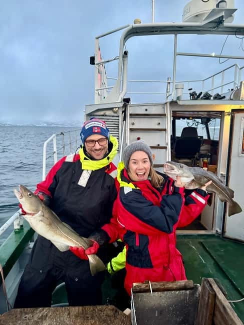 Tromsø: Fishing Sea Safari - Why a Tromsø fishing boat beats the usual sightseeing