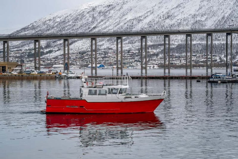 Tromsø: Fishing Sea Safari - Getting to the boat: Killengreens gate 7–11 and the Senjafjell