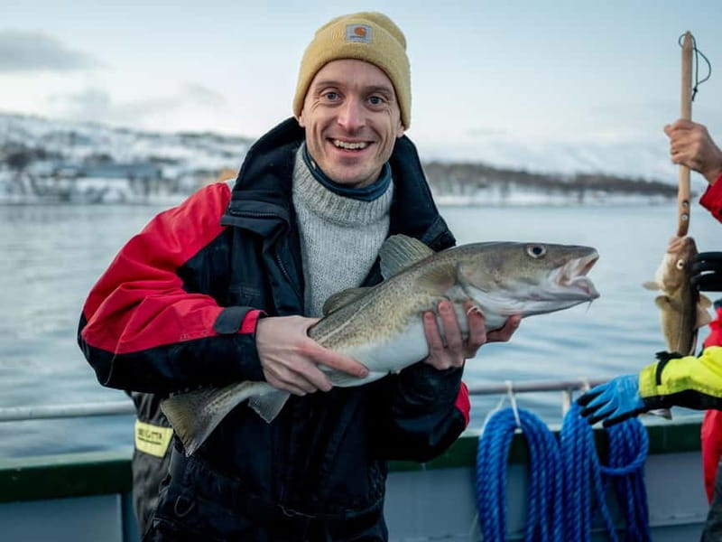 Tromsø: Fishing Sea Safari - What happens on the water: 2.75 hours of fjords, wildlife, and fishing