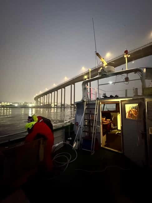 Tromsø: Fishing Sea Safari - Wildlife spotting: what you might see and how to watch for it
