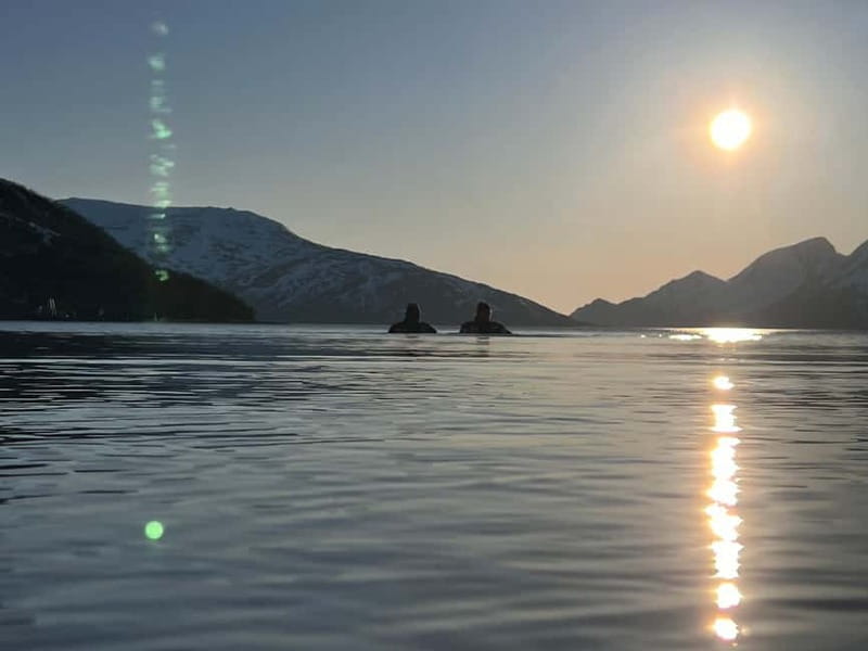 Tromsø: Fjord and Floating Safari, Arctic Floating - Wildlife, berries, and photo stops you might be lucky to catch