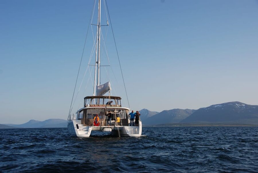 Tromsø: Fjord and Islands Luxury Catamaran Cruise - Fishing off the catamaran: what you should expect