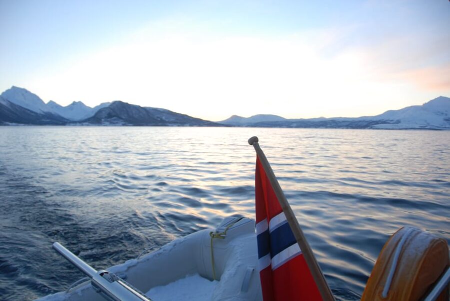 Tromsø: Fjord and Islands Luxury Catamaran Cruise - Weather and timing: clear skies help, but cold days still work