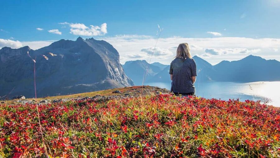 Tromso: Fjord Arctic Adventure Expedition - Key highlights worth your attention