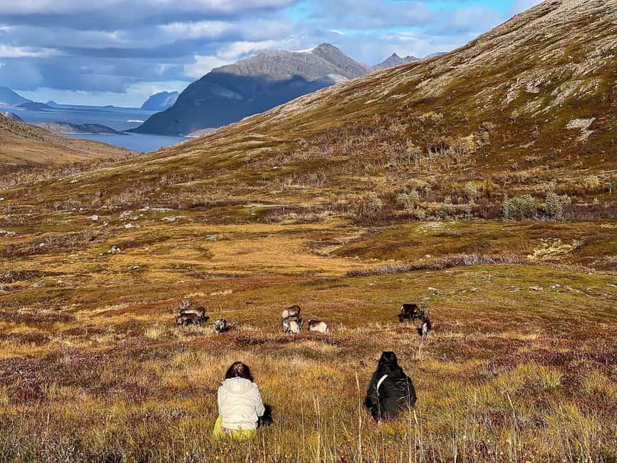 Tromso: Fjord Arctic Adventure Expedition - Transportation and comfort: the small-group mini-road trip