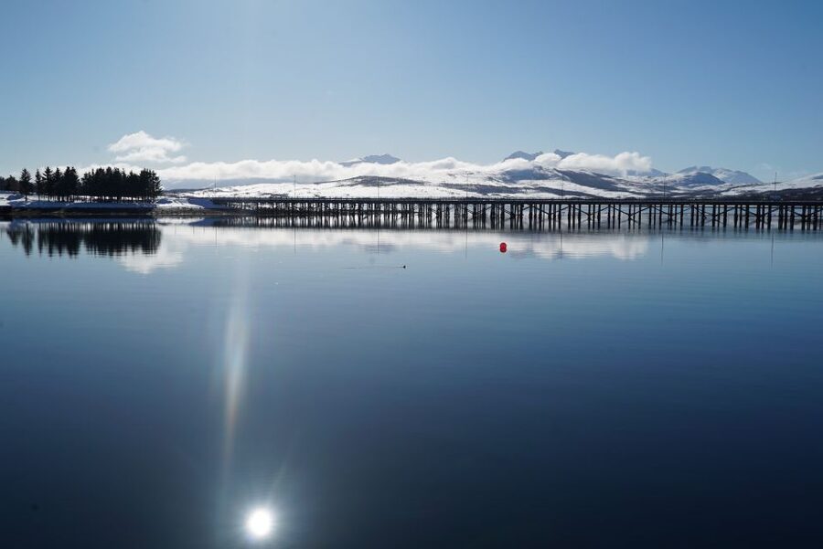 Tromsø: Fjord Cruise by Luxury Yacht - Entering the Arctic from Tromsø’s floating jetty