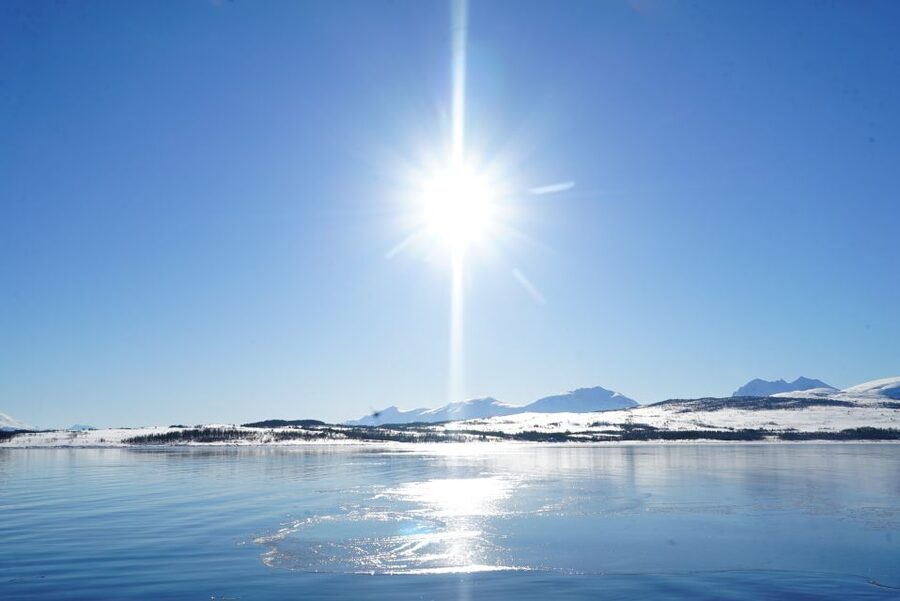 Tromsø: Fjord Cruise by Luxury Yacht - When you can fish or captain the boat