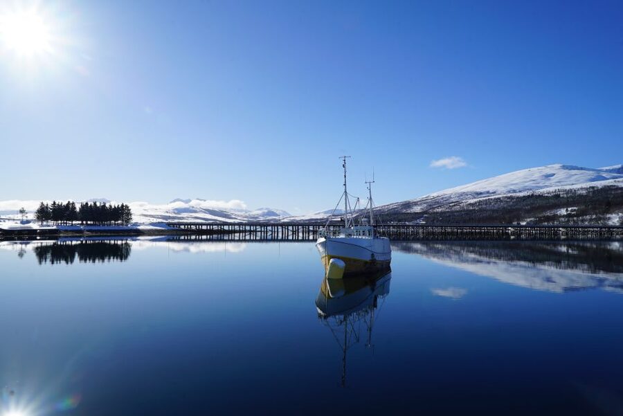 Tromsø: Fjord Cruise by Luxury Yacht - Fish soup lunch: the warm centerpiece of the trip