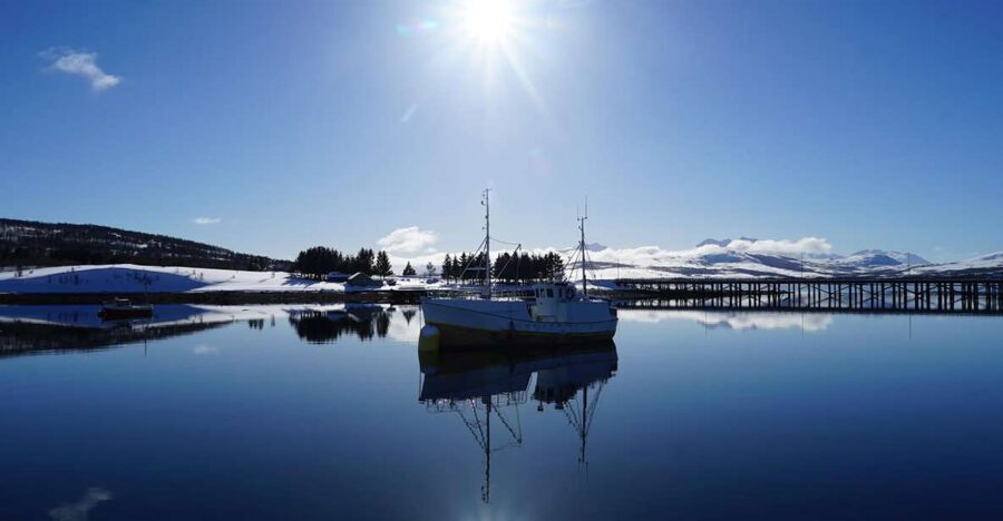 Tromsø: Fjord Cruise by Luxury Yacht - Small group cruising: hearing the guide is easier