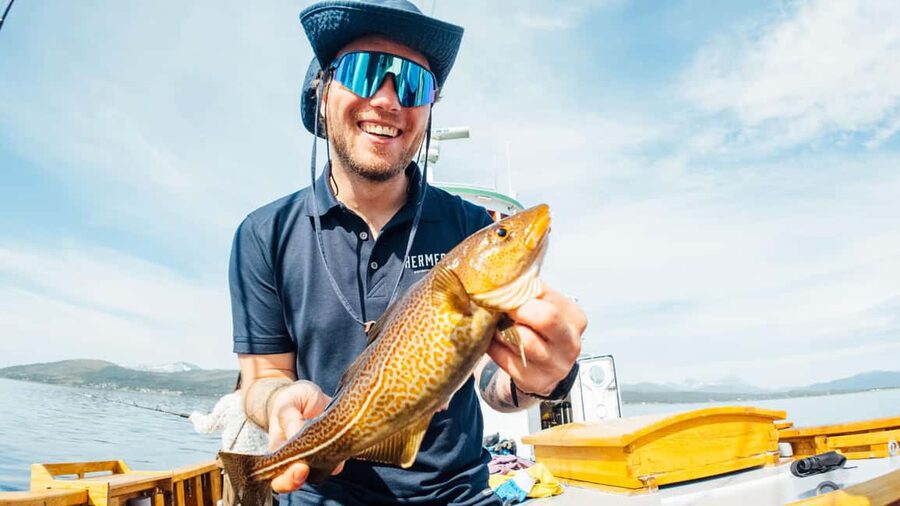 Tromsø: Fjord Fishing Cruise - Price and Value: Is $185 Worth a 4.5-Hour Fjord Fishing Cruise?