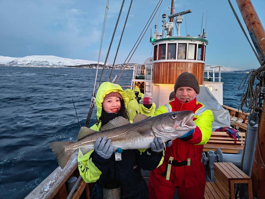 Tromsø: Fjord Fishing Cruise - Meeting Hermes II at Stortorget Floating Pier