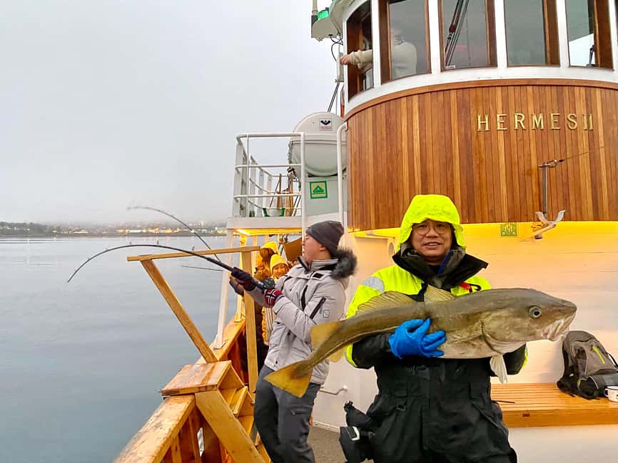 Tromsø: Fjord Fishing Cruise - Cruising Tromsø Fjords: When the Captain Takes You to Fishing Spots