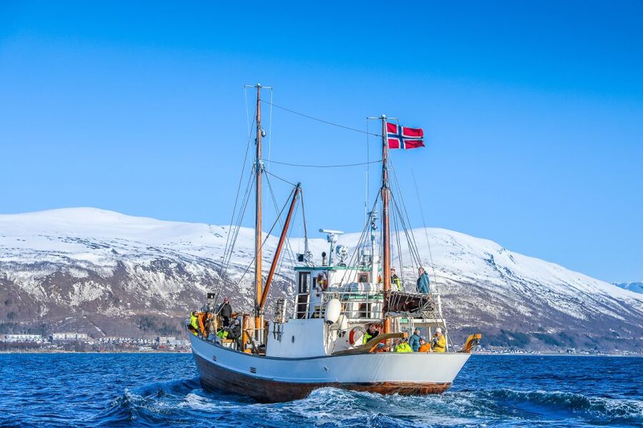 Tromsø: Fjord History Cruise with Snack and Drinks - Wildlife spotting in Tromsø: how the crew helps you find sea eagles and seals