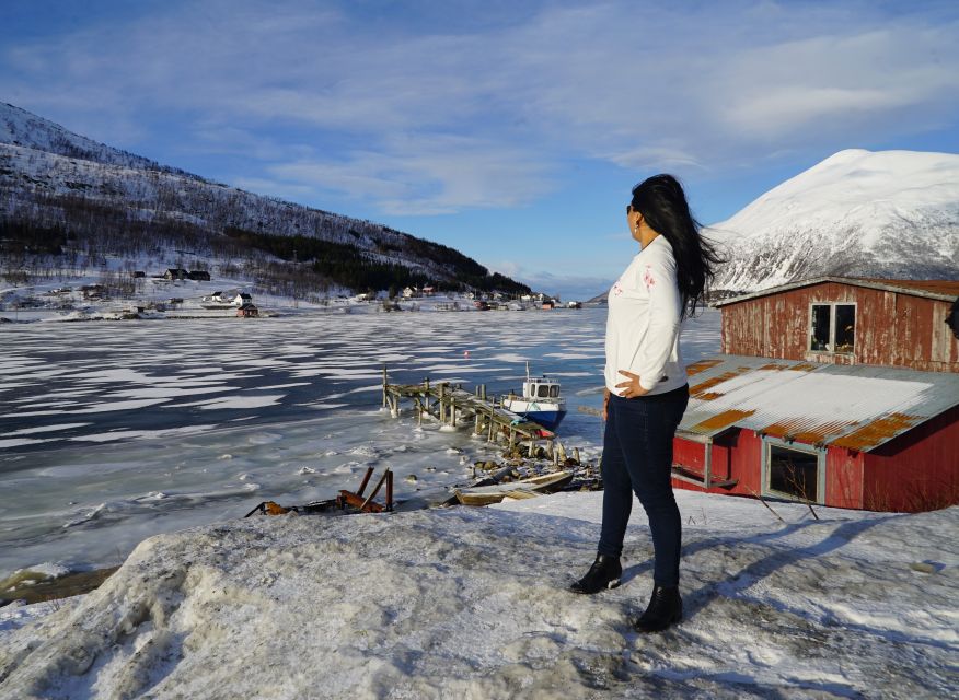 Tromsø: Fjord Sightseeing in a Tesla X Luxury Electric Car - Tips to get the best photos and the best mood