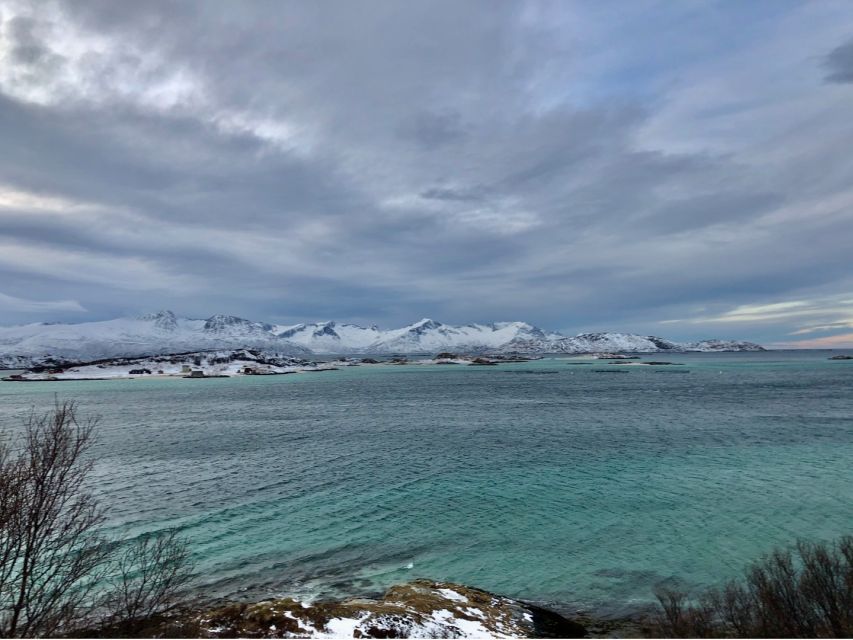 Tromsø: Fjords and Sommarøy Islands Tour with Salmon Picnic - Tromsø to Sommarøy: why this tour hits different
