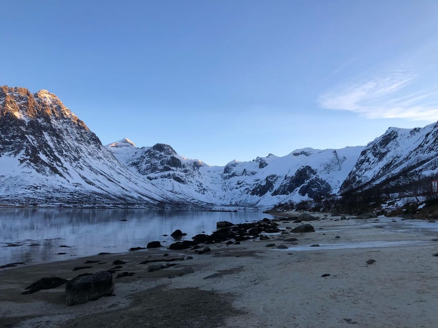 Tromsø: Fjords & Beaches Tour with Campfire and Arctic Food - Should you book this Tromsø Fjords & Beaches tour with campfire and Arctic food?