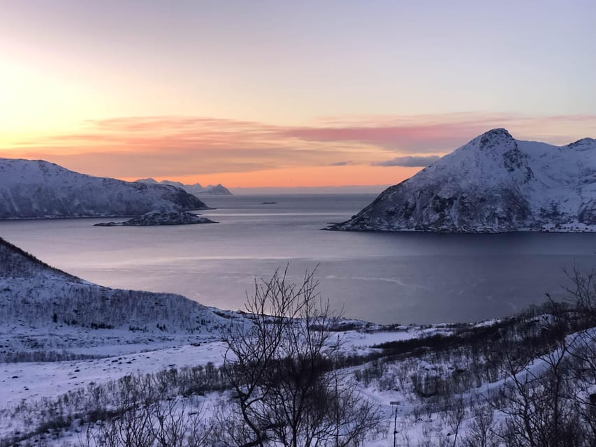 Tromsø: Fjords & Beaches Tour with Campfire and Arctic Food - How the 7 hours (really) works: pickup, Kvaløya scenery, stops, and wildlife chances