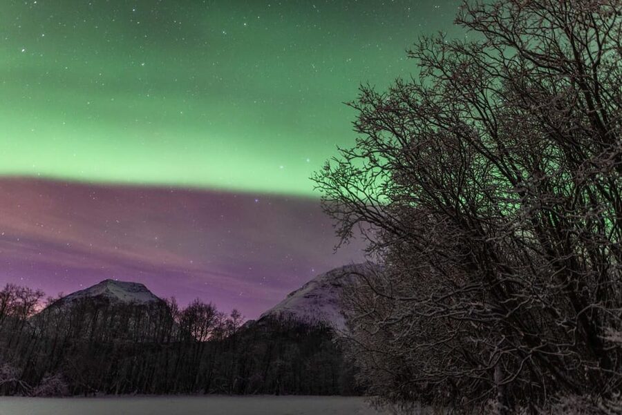Tromsø: Fjords & Beaches Tour with Campfire and Arctic Food - Price and value: what you get for $304 per person
