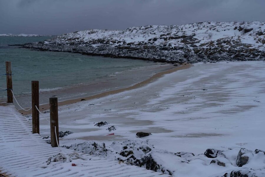 Tromsø: Fjords & Beaches Tour with Campfire and Arctic Food - Who this tour suits best in Tromsø