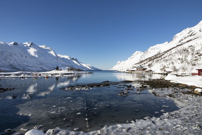 Tromso fjords road trip with fire in grill cabin by the beach. - The guide factor: why a strong host changes the day