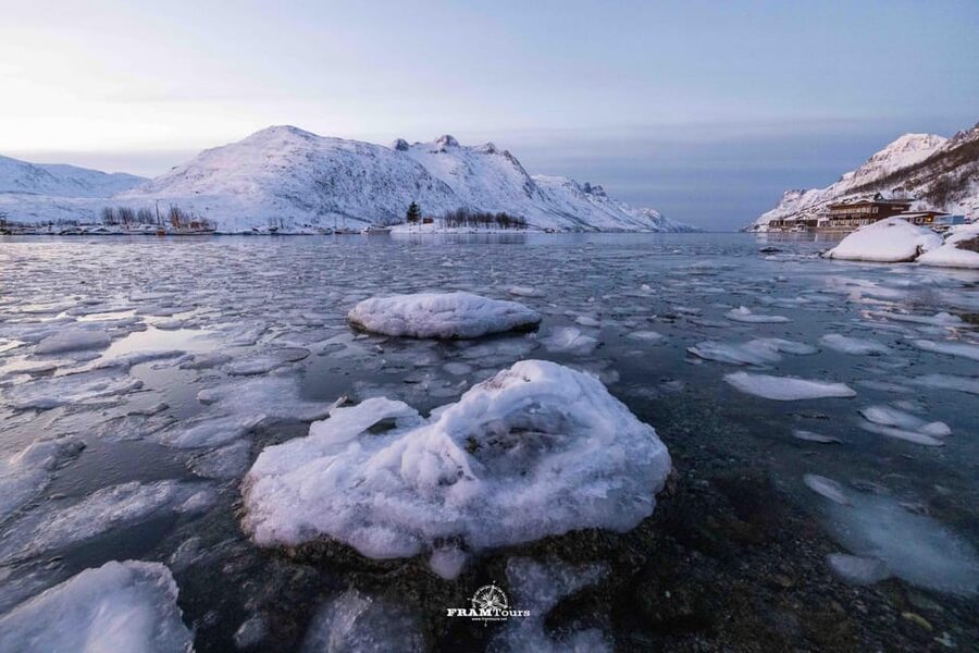 Tromso: Guided Fjord Expedition in Kvaløya with Light Lunch - Key highlights worth getting excited about