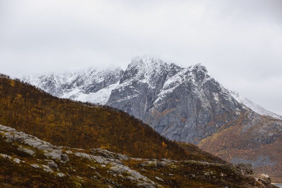 Tromso: Guided Fjord Expedition in Kvaløya with Light Lunch - Wildlife spotting in the wild: eagles, reindeer, moose, and otters