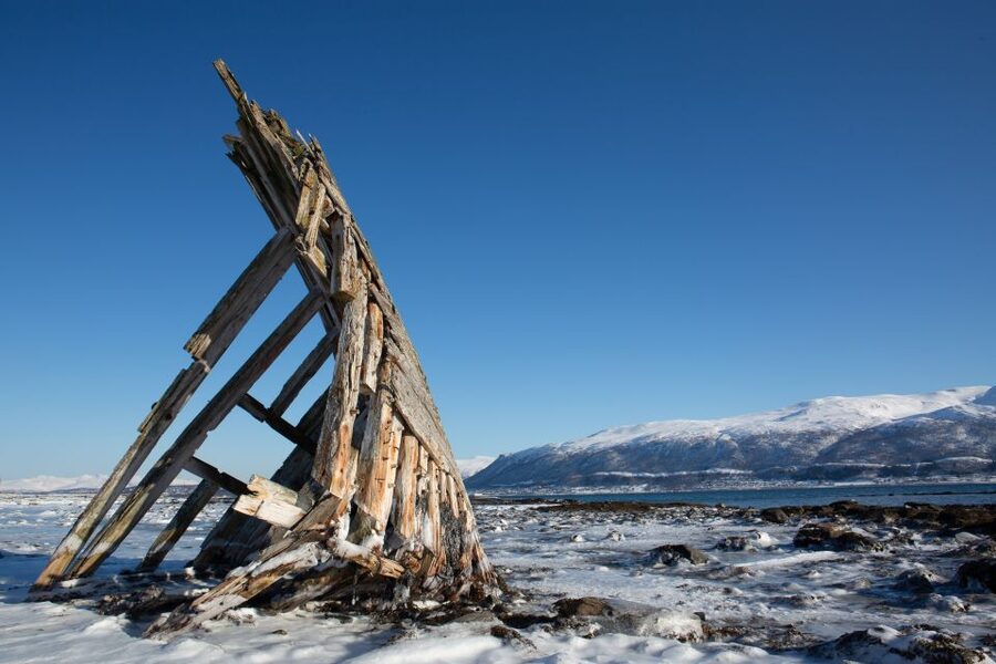 Tromso: Guided Fjord Expedition in Kvaløya with Light Lunch - Lunch by the sea: warm light food that keeps you going