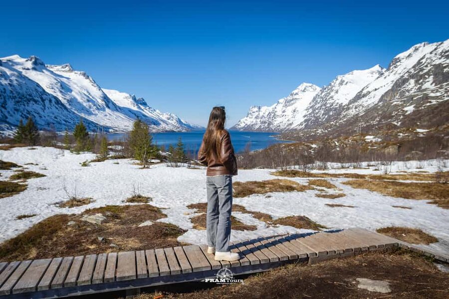 Tromso: Guided Fjord Expedition in Kvaløya with Light Lunch - From FRAMTours to Sommarøy: your 5-hour route with real photo stops