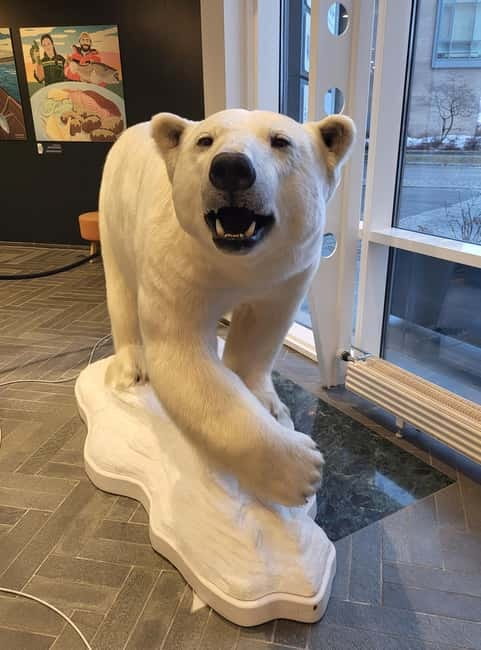 Tromsø: Guided Polar Bear Walk incl. Polaria & Polar Museum - What I’d Bring (Because Tromsø Weather Doesn’t Ask Permission)