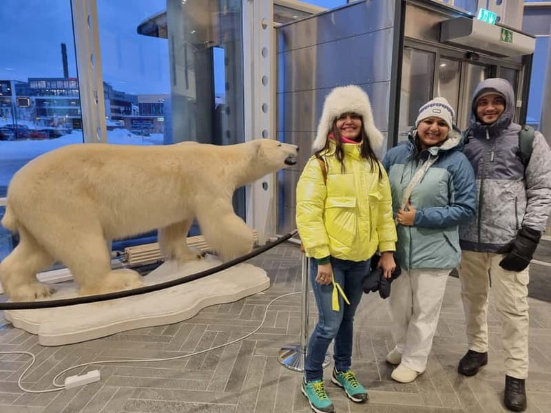 Tromsø: Guided Polar Bear Walk incl. Polaria & Polar Museum - The City Walk: Quayside Views and Old-Town Color With Purpose