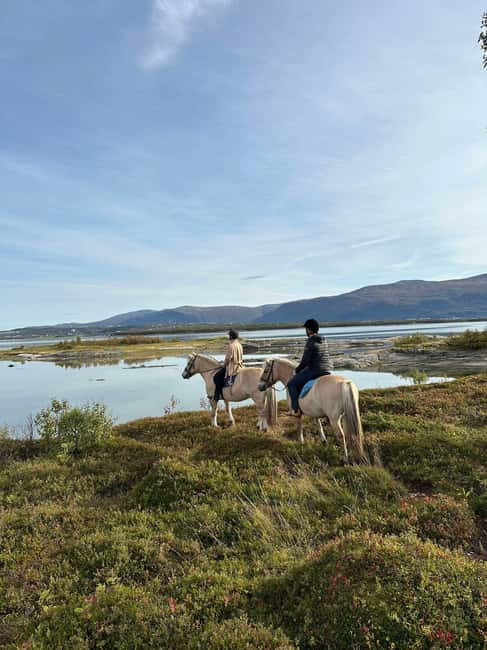 Tromsø: Horseback Riding Tour - Key things worth knowing