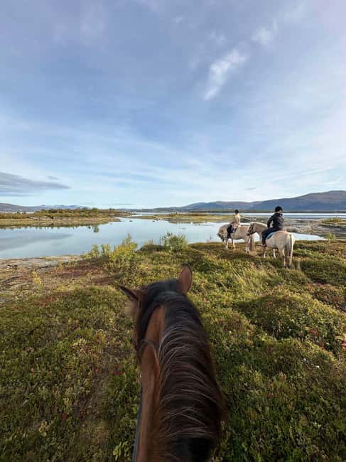 Tromsø: Horseback Riding Tour - Kvaløya Island, Tromsø airport, and the three breed lineup