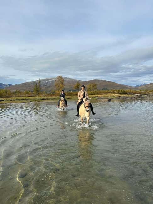 Tromsø: Horseback Riding Tour - Who this is best for (and who should skip it)